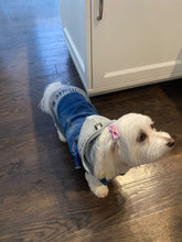 Load image into Gallery viewer, Customized Dog Jean Jacket with Hood
