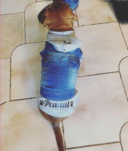 Load image into Gallery viewer, Customized Dog Jean Jacket with Hood
