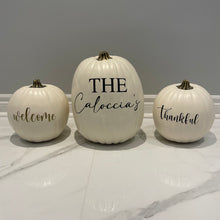 Load image into Gallery viewer, White Pumpkins
